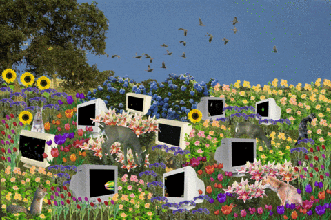 Floating Window GIF